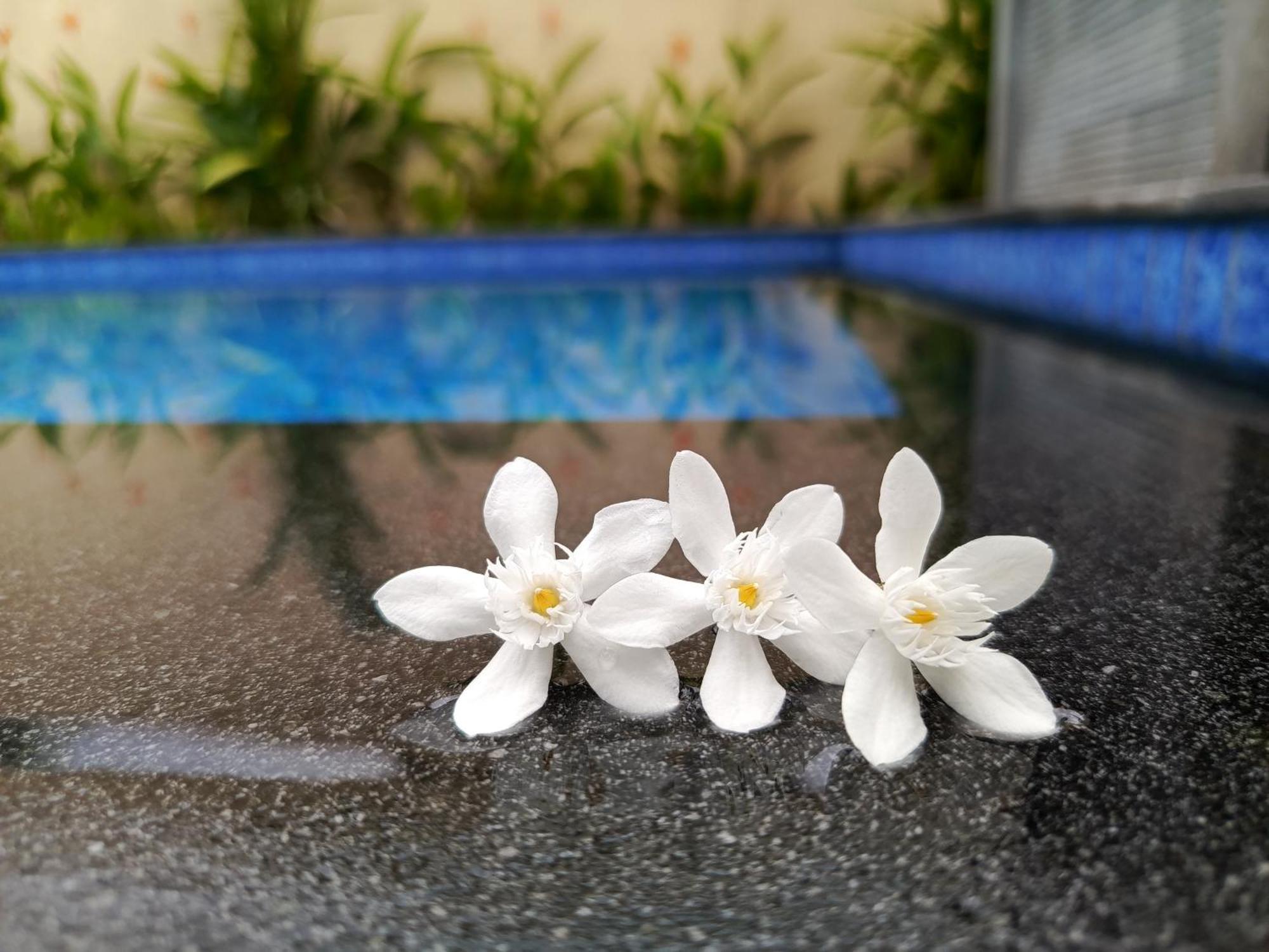 Tanjungkarang Zavana Rooms & Restaurant מראה חיצוני תמונה